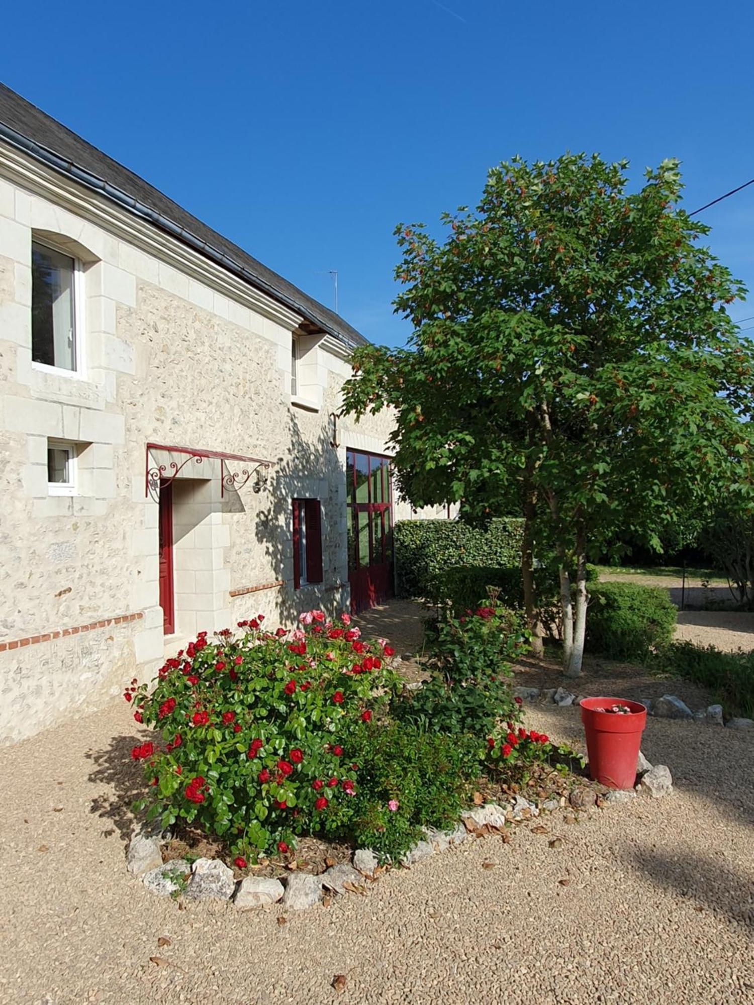 Au Domaine Du Bois Joubert Bed & Breakfast Luzillé Екстериор снимка